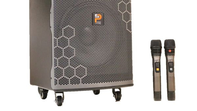 Loa ProSing W12 Bee-2